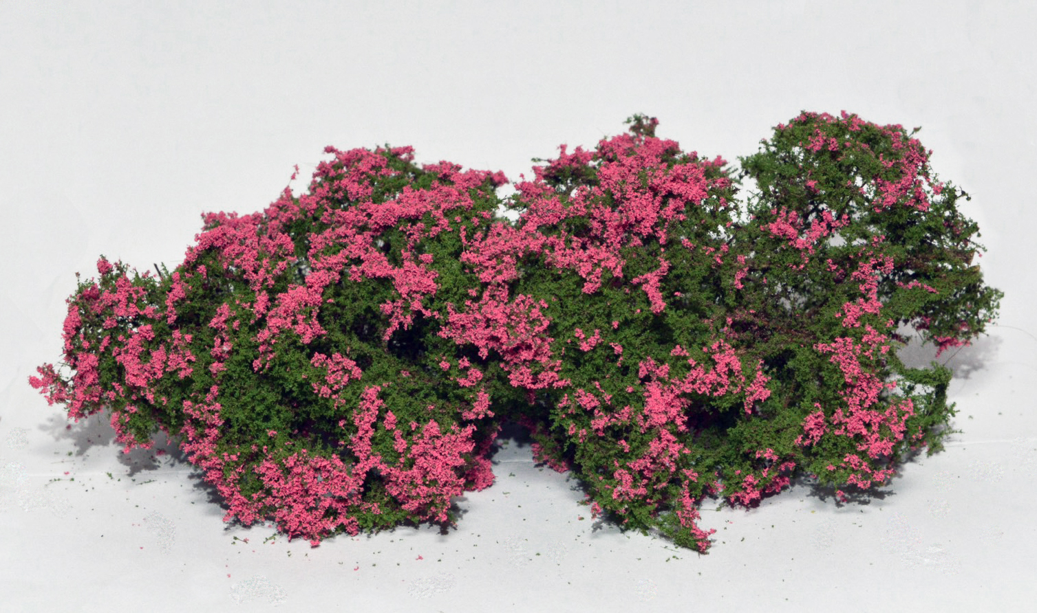 Flowering shrubs – Pink