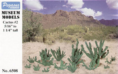 Small Cactus 8-32mm